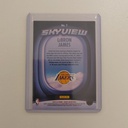 Panini NBA Hoops Skyview LeBron James