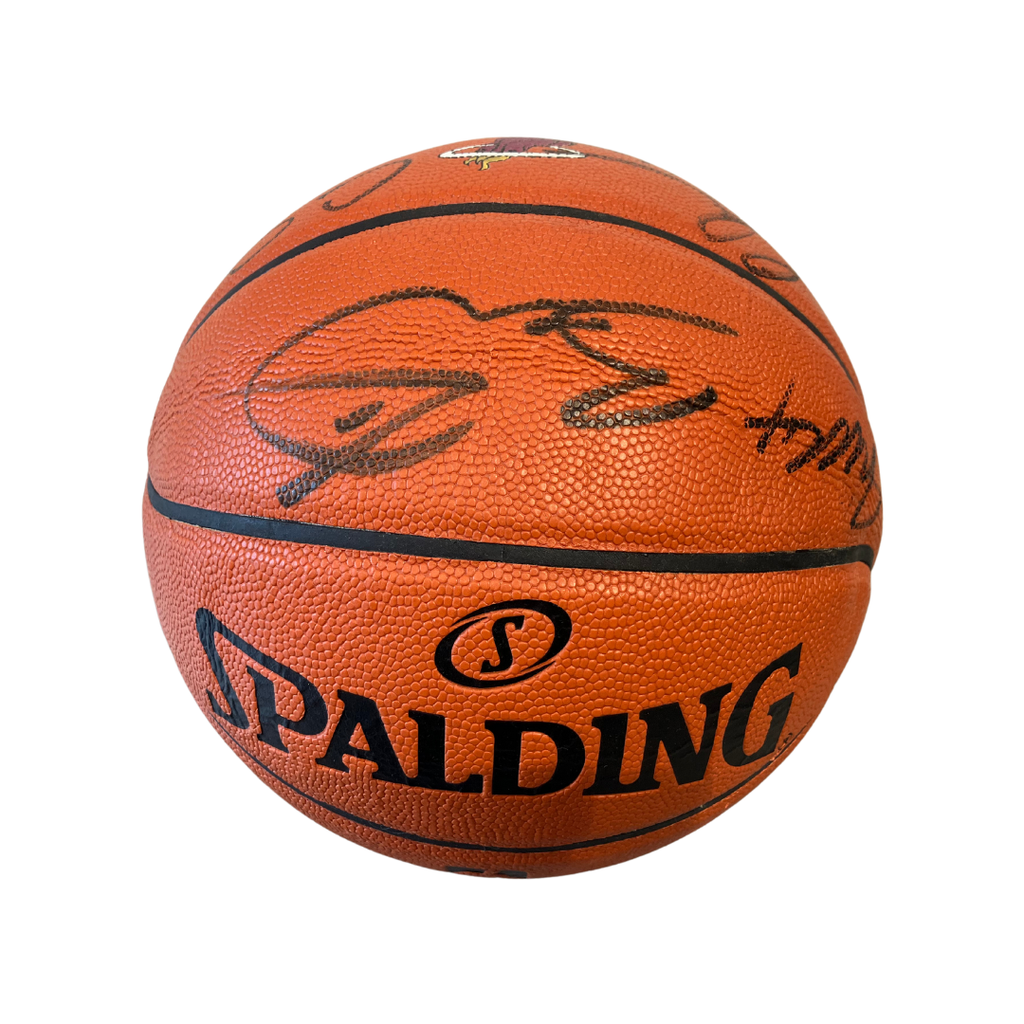 Spalding Miami Heat Team