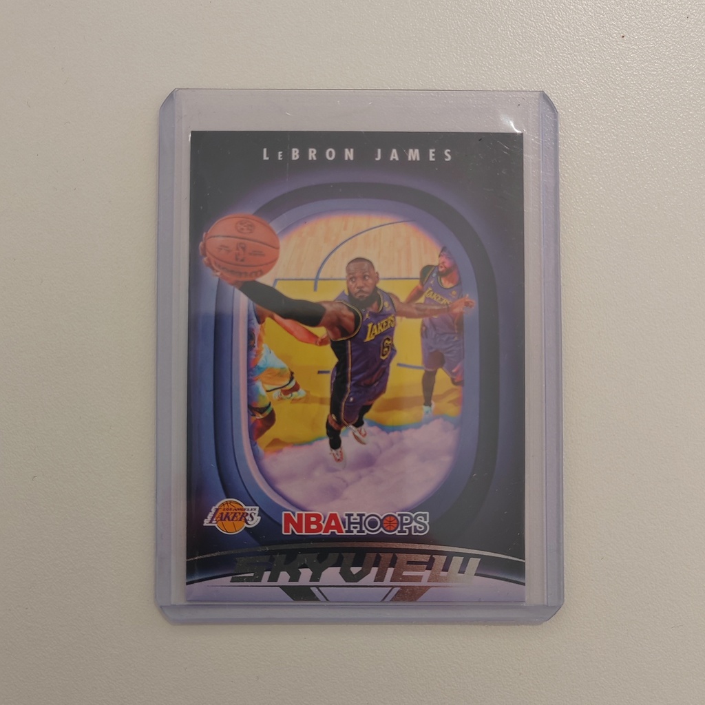 Panini NBA Hoops Skyview LeBron James