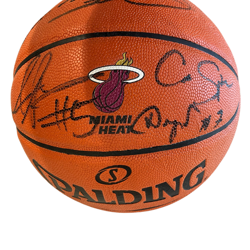 Spalding Miami Heat Team