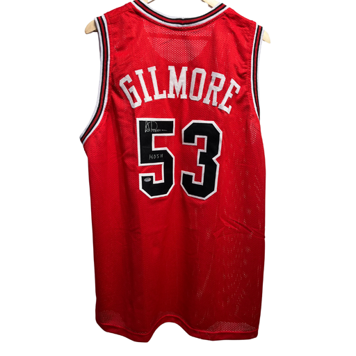 Jersey Artis Gilmore Bulls HOF